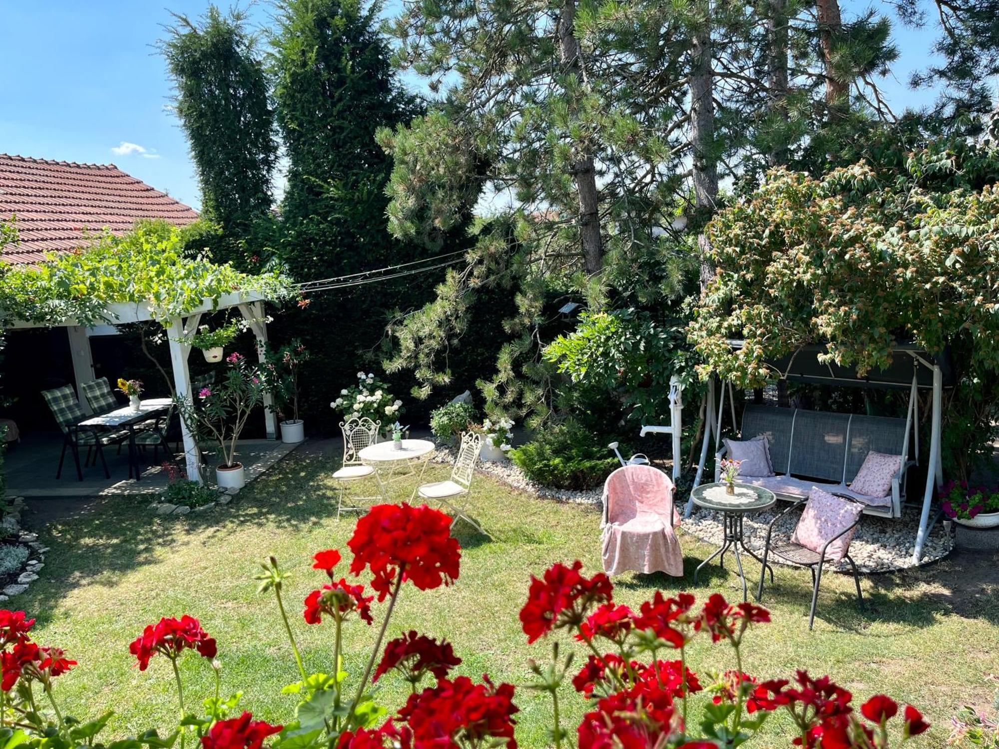 Relaxační studio VERA s UBYTOVÁNÍM Valtice Exteriér fotografie